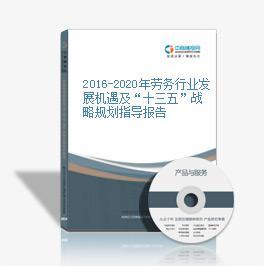 2015-2020年中國勞務行業企業投資策略及風險研究